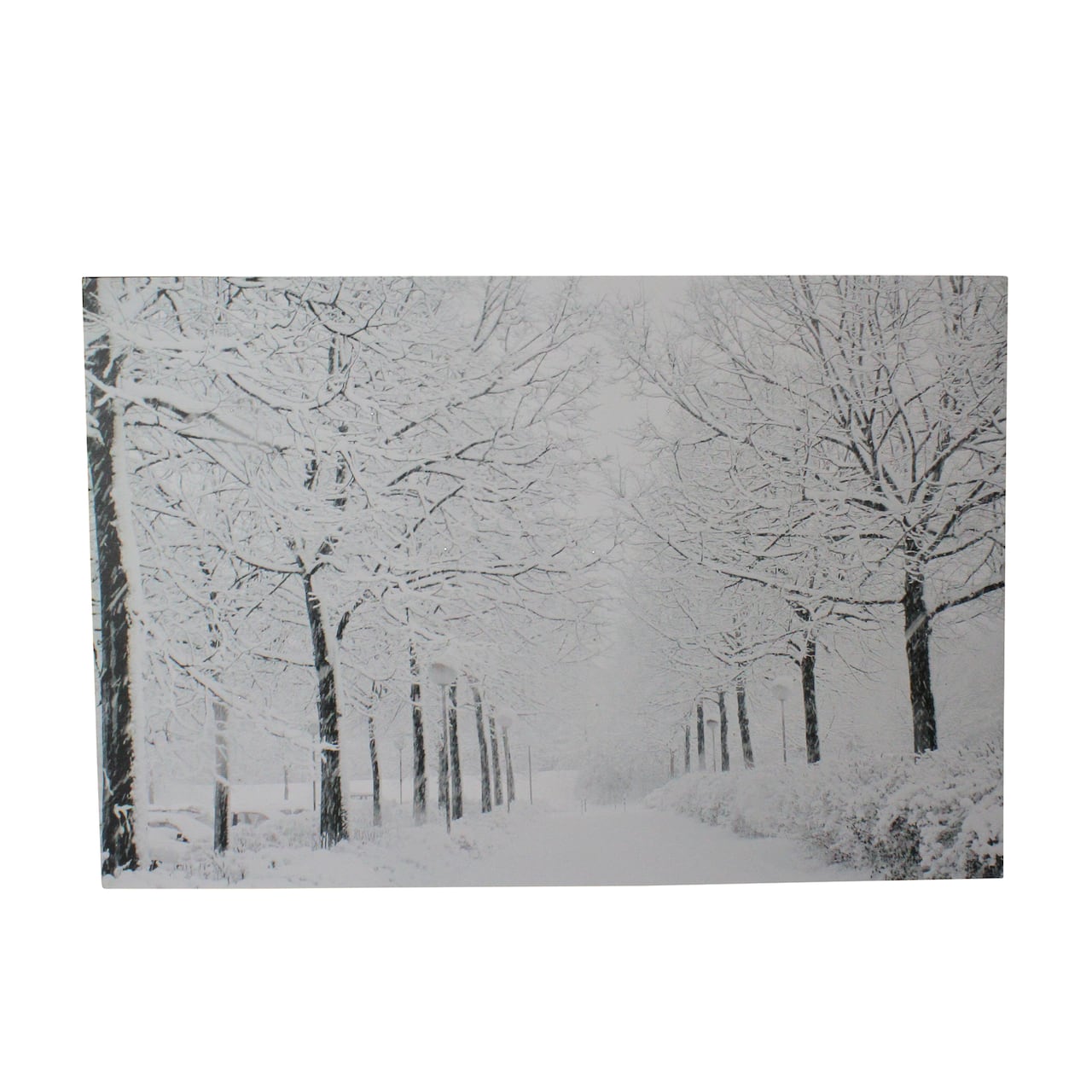 Fiber Optic Lighted Snowfall Winter Lane Christmas Canvas Wall Art